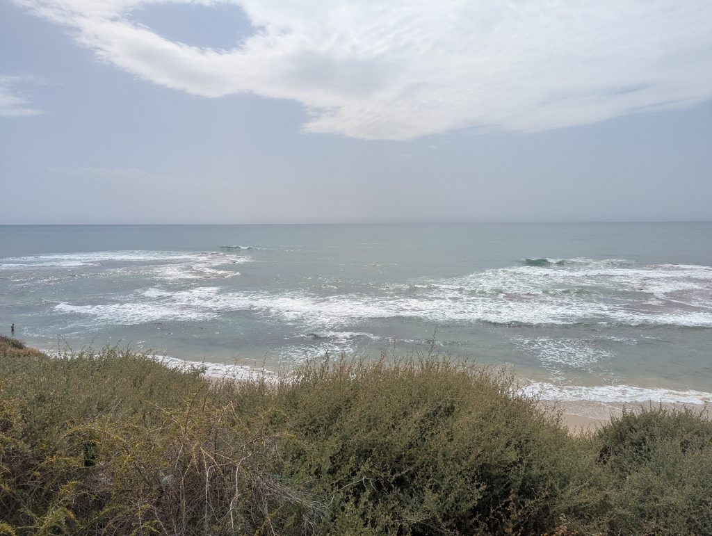 Bat Yam & Jaffa Border Beach trees and bushes
