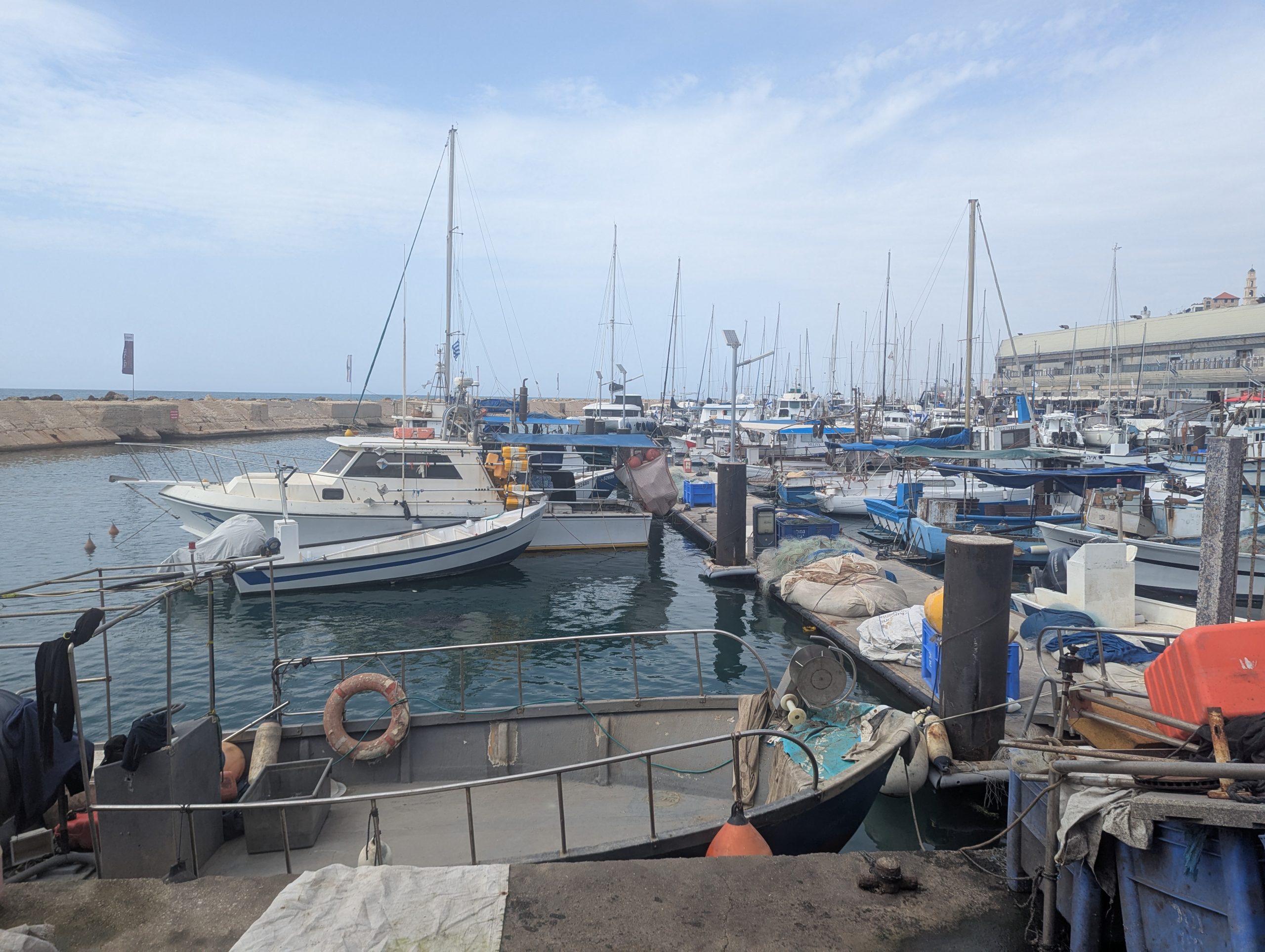Jaffa Port: Ancient Stones, Fresh Fish, and Waterfront Chill