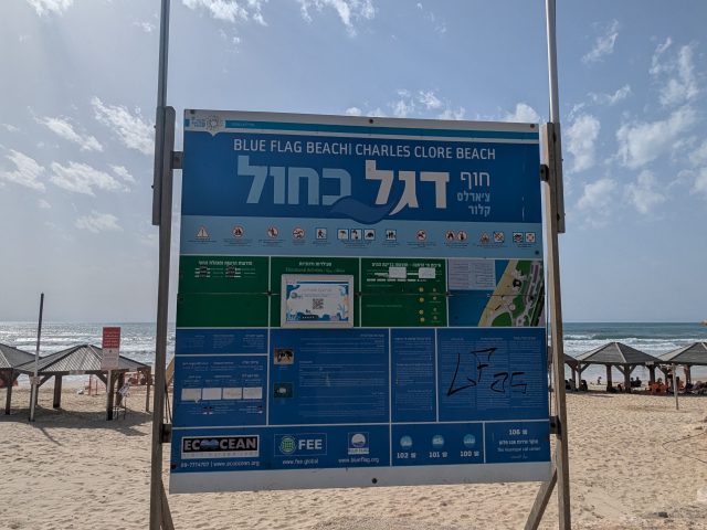 Charles Clore Beach: Tel Aviv’s Secret Park Beach with a Chill & Serene Sunset