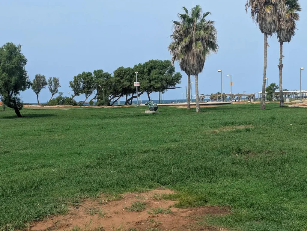 Charles Clore Park lawn with a sculpture and palm trees by the sea