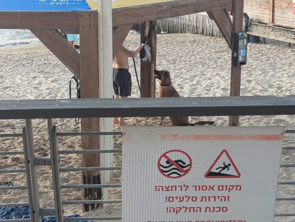 Dog at the shower next to a no-swimming warning sign