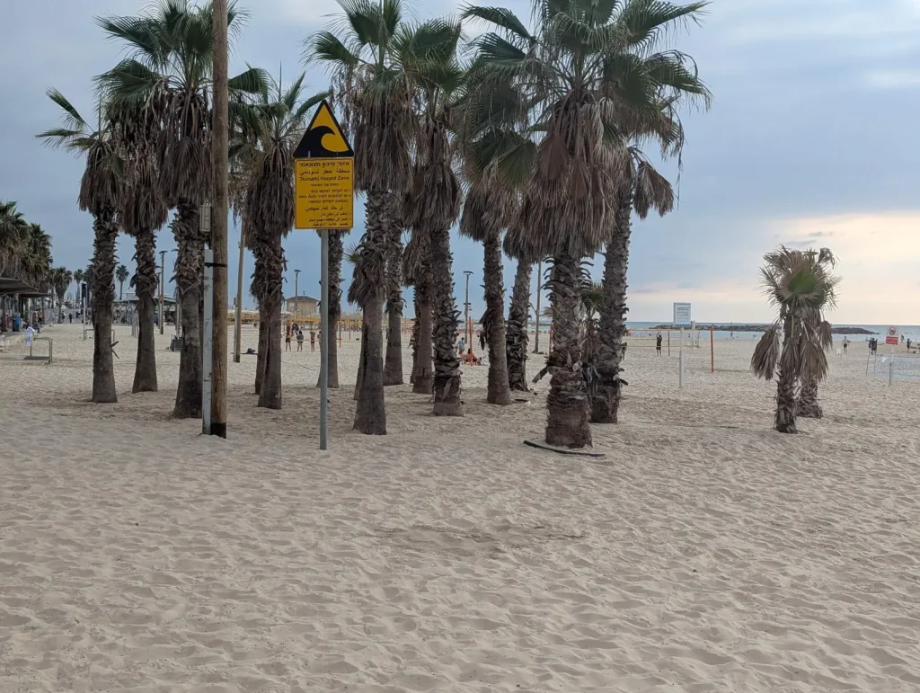 Palm trees and a warning sign on Gordon Beach