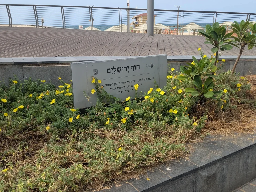 Stone sign for Jerusalem Beach among yellow flowers