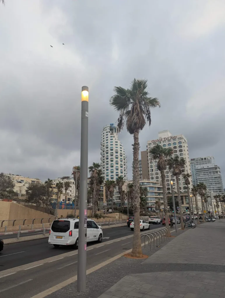 Seafront promenade with hotel towers rising behind palm trees