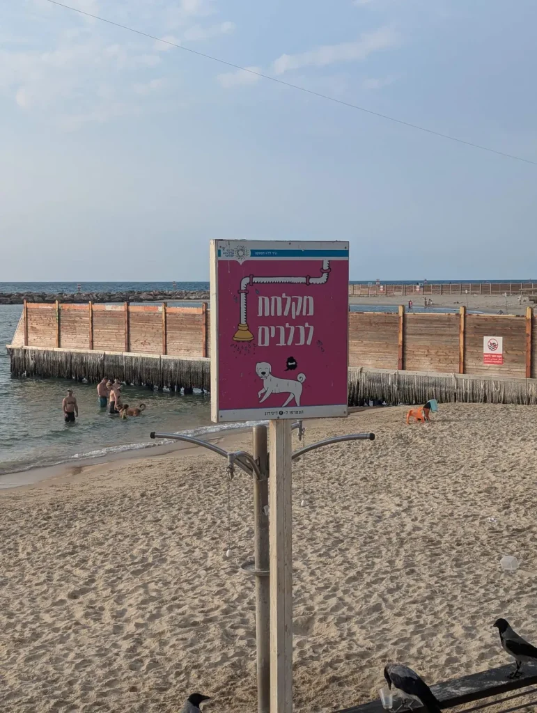 Dog shower sign at the Tel Aviv dog beach next to the religious beach