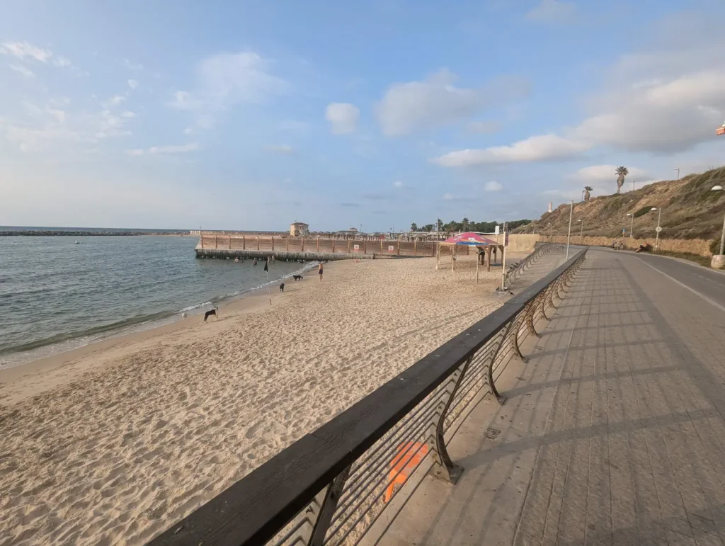 Dog beach sand and breakwater seen from the promenade